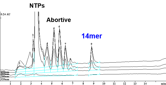 Ion_exchange_chromatography_test_for_chemical_purity_of_RNA_standard_14mer