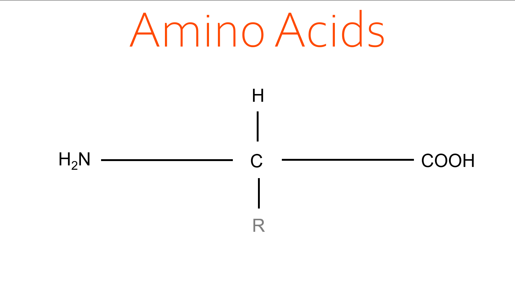 Amino_Acids_final