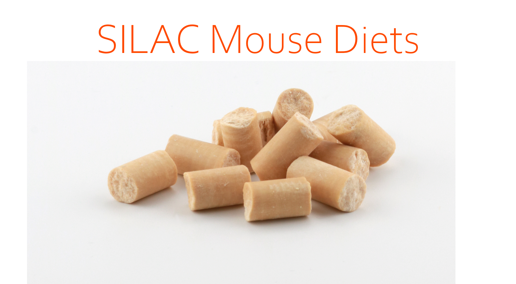 SILAC_Mouse_Diets_final
