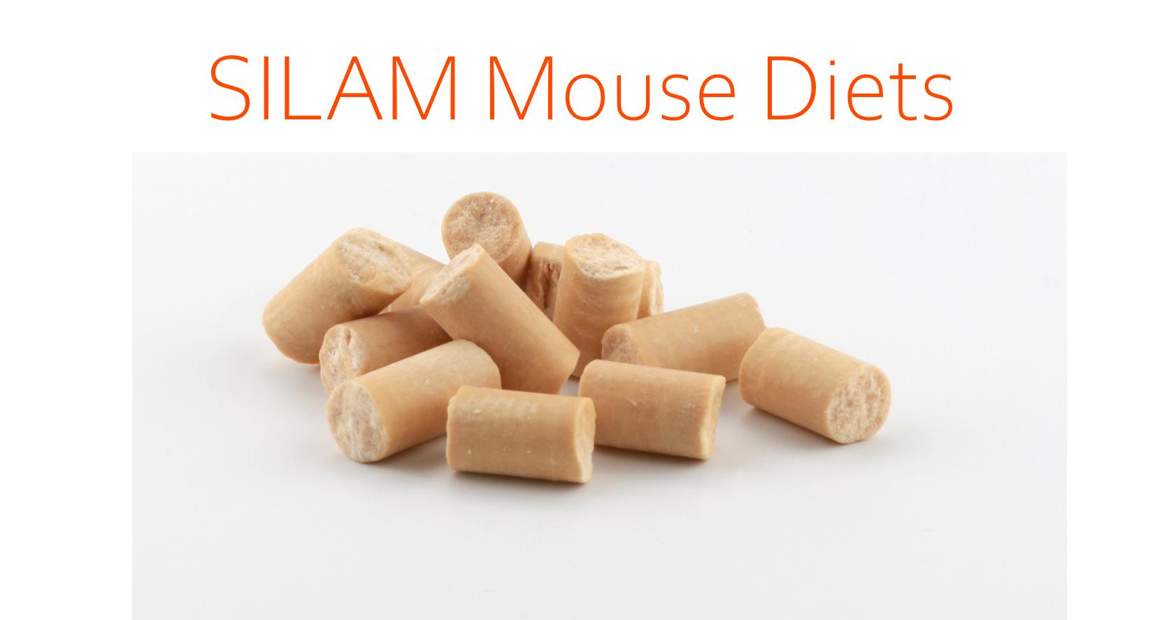 SILAM_Mouse_Diets_final